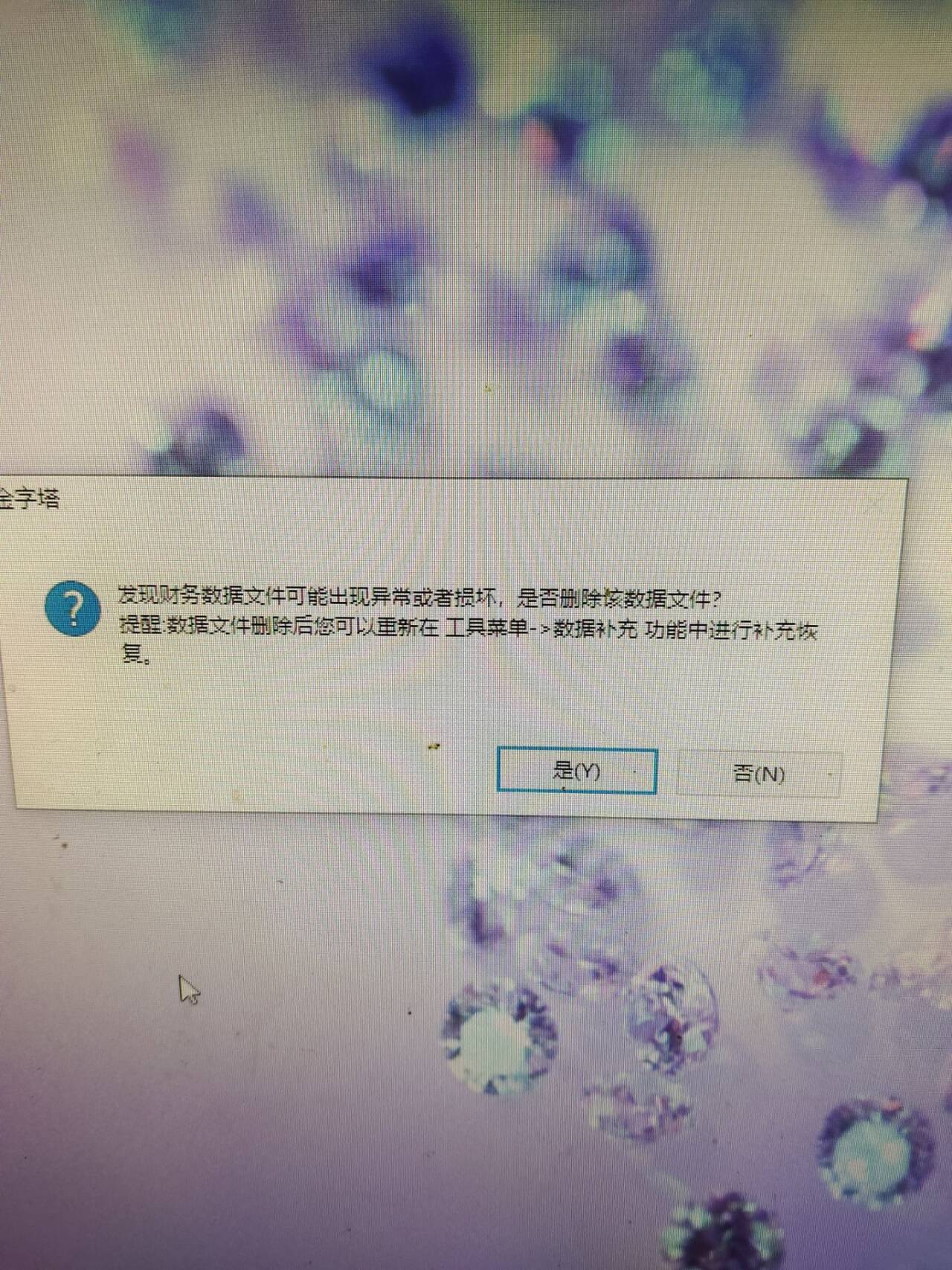 ͼ202409131107389260.jpg
